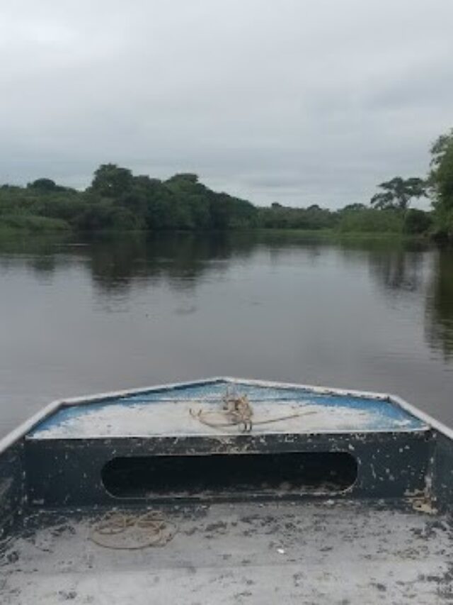 Como Fazer Turismo No Pantanal